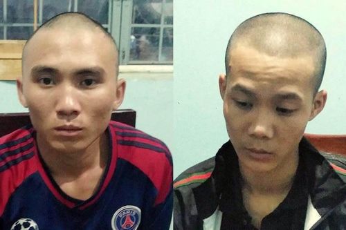 Truy xét nhanh 2 'đạo chích'