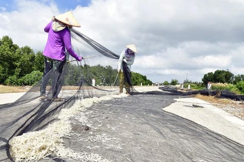 Lộc trời xứ biển Tây Nam