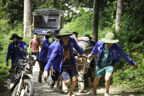 Cống hiến sức trẻ: Diện mạo mới cho xã nghèo
