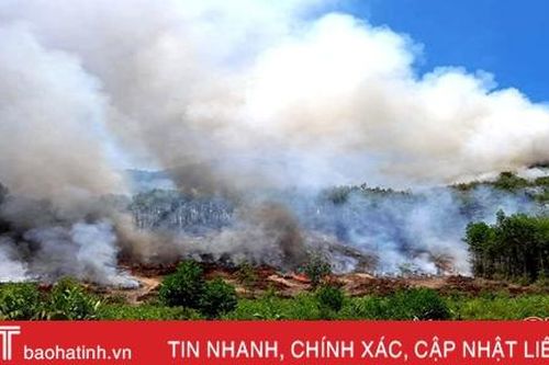 Huy động 700 người kịp thời khống chế cháy rừng ở Can Lộc