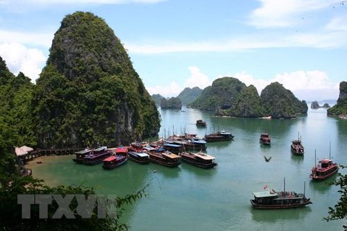Đồng hành cùng doanh nghiệp đưa du lịch sớm hoạt động trở lại