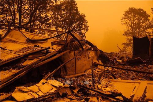 Cảnh báo ô nhiễm không khí nghiêm trọng do cháy rừng tại bang Oregon, Mỹ