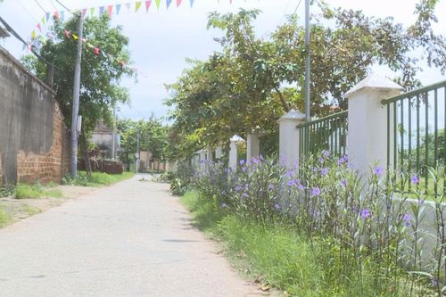 Người dân Đồng Tâm đang chung sức, nỗ lực xây dựng nông thôn mới
