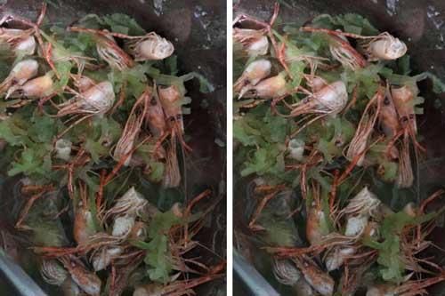 Vợ mới sinh, chồng nấu bí với đầu tôm bổ sung canxi, bát canh bê lên mâm khiến cô 'cười không nhặt được mồm'