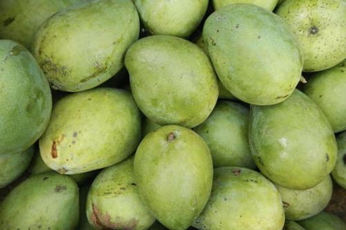 10 lợi ích kỳ diệu của xoài xanh mà ít ai biết đến
