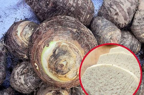 Khoai môn cứ củ nào nặng thì mua? Nhiều người chọn sai bảo sao bị cứng sượng không ngon