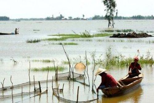 Mực nước lên nhanh theo triều