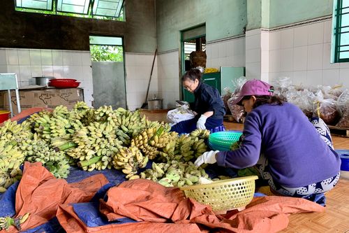 Gia Lai: Vi phạm an toàn thực phẩm vẫn còn phổ biến