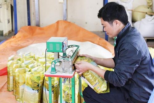 180 hộ kinh doanh và người lao động được hưởng hỗ trợ do đại dịch Covid - 19