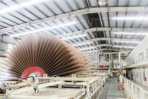 Quảng Trị phấn đấu trở thành trung tâm cung cấp nguyên liệu, chế biến gỗ rừng trồng của khu vực miền Trung