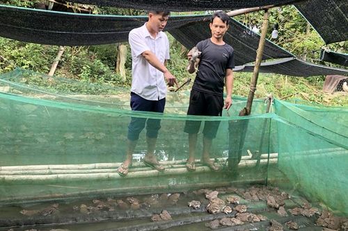 Lâm Bình đưa Internet về thôn, bản