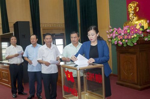 Thi đua lập thành tích chào mừng Đại hội đại biểu Đảng bộ tỉnh lần thứ XX