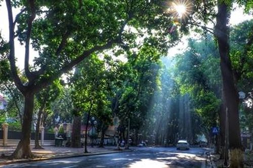 Miền Bắc mưa giông về chiều tối, ngày oi nóng