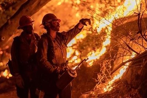 Cháy rừng khiến chất lượng không khí tại Mỹ 'tồi tệ nhất thế giới'