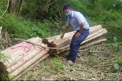 Chở gỗ lậu, 1 người bị gỗ đè tử vong