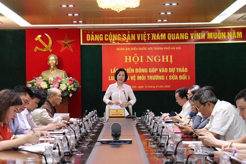 Cần bổ sung biện pháp hình sự trong chính sách về bảo vệ môi trường