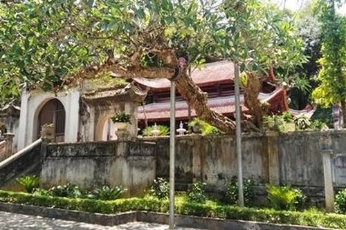 Về Lam Sơn tìm hào khí Lũng Nhai: Cuộc khởi nghĩa vĩ đại