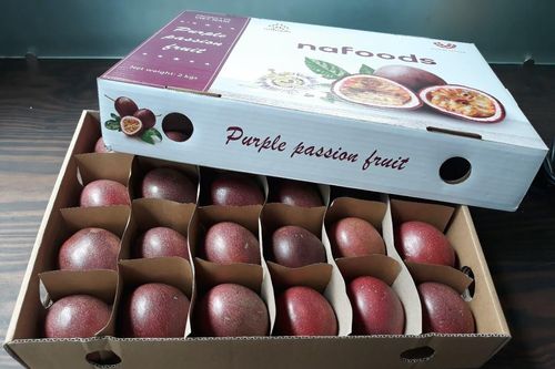 Chính thức xuất khẩu trái cây sang EU sau EVFTA
