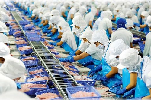 Soi 'sức khỏe' Cty Vĩnh Hoàn của 'quý bà cá tra' Lệ Khanh