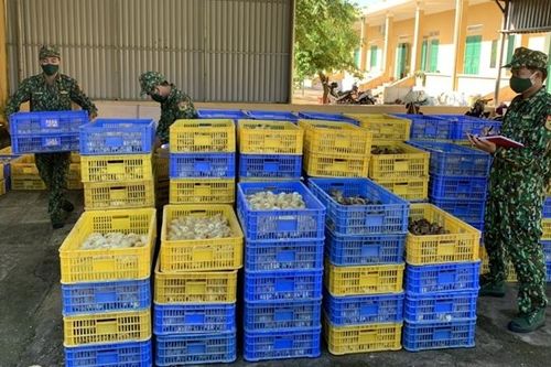 Bắt vụ vận chuyển trái phép 28 nghìn con gà giống từ Trung Quốc vào nội địa