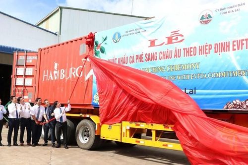 Xuất khẩu lô cà phê thuế suất 0% đầu tiên sang châu Âu theo EVFTA