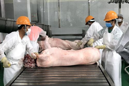 'Soi kính hiển vi' mới thấy Việt Nam xuất khẩu một ít lợn sữa, trứng muối