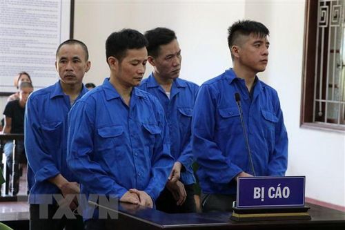 Phạt tù các đối tượng tàng trữ ma túy và không tố giác tội phạm