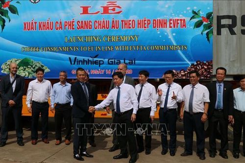 Gia Lai xuất khẩu lô cà phê đầu tiên sang châu Âu theo Hiệp định EVFTA