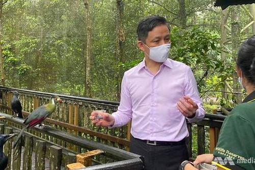 Công dân Singapore chỉ cần đủ 18 tuổi trở lên sẽ được nhận voucher 1,7 triệu đồng
