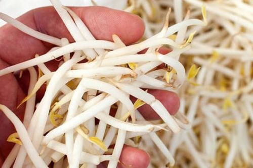 Giá đỗ rẻ mấy cũng đừng mua nếu có 3 dấu hiệu này, ăn vào dễ ngộ độc nhập viện