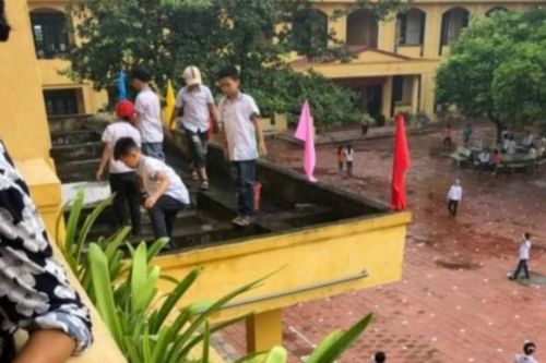 Cây đổ, cổng trường sập đè chết học sinh và những cảnh báo về an toàn chốn học đường