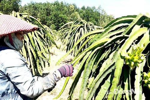 Chi hơn 17,8 tỷ đồng hỗ trợ người dân bị ảnh hưởng bởi dịch Covid-19