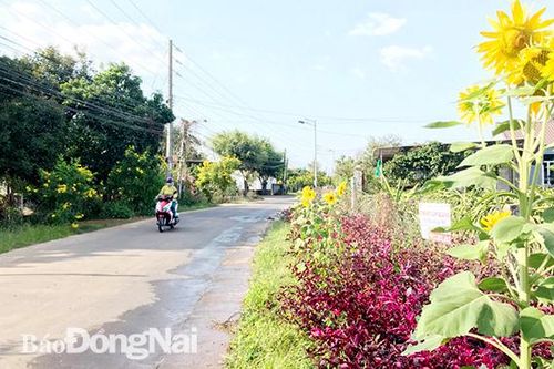 Phát triển giao thông để nâng tầm địa phương