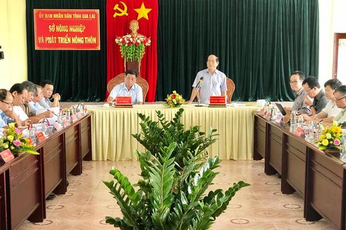 Gia Lai phấn đấu đến năm 2025 có 120 xã đạt chuẩn nông thôn mới