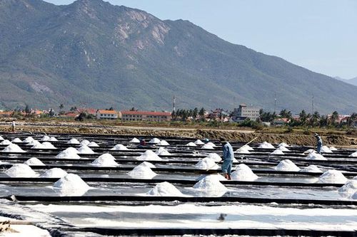 Xây dựng kế hoạch sản xuất muối giai đoạn 2021 - 2025