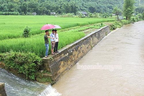 Thực hiện tốt '4 tại chỗ' trong phòng, chống thiên tai
