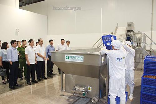 Đồng chí Phó Chủ tịch UBND tỉnh kiểm tra công tác chuẩn bị tổ chức Lễ khánh thành Nhà máy chế biến hoa quả tươi và thảo dược Vân Hồ