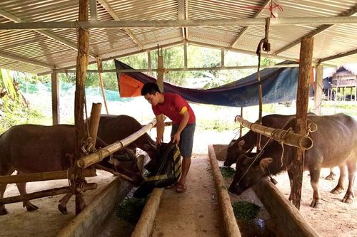 Gia đình văn hóa tiêu biểu