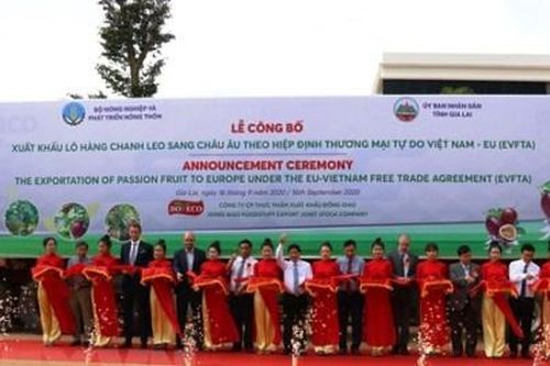 100 tấn chanh leo đầu tiên xuất khẩu sang Châu Âu