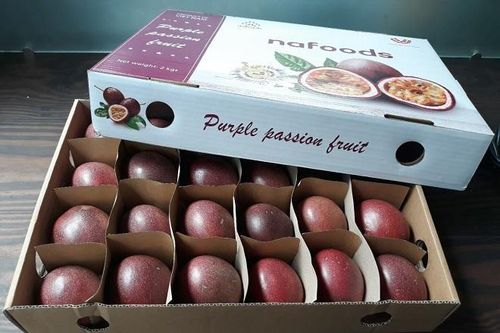 Trái cây Việt bắt đầu xuất sang EU sau EVFTA, thuế suất ưu đãi chưa từng có