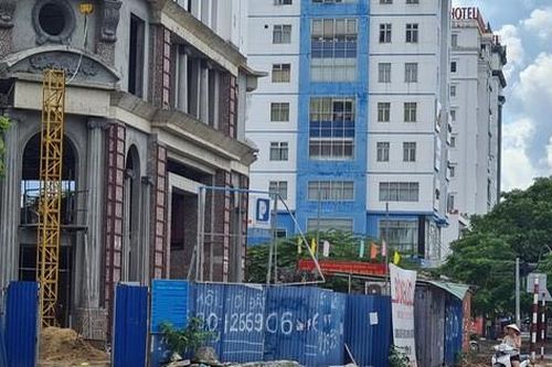 Giám định những cây xanh chết bất thường trước cửa tòa nhà 15 tầng ở Hải Phòng