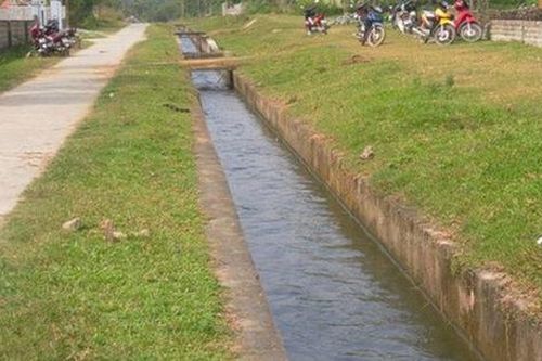 Bắc Giang: Phát hiện thi thể cụ ông 79 tuổi dưới mương nước