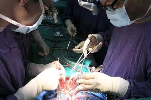 Kỷ lục 13 ngày ghép thành công 23 tạng