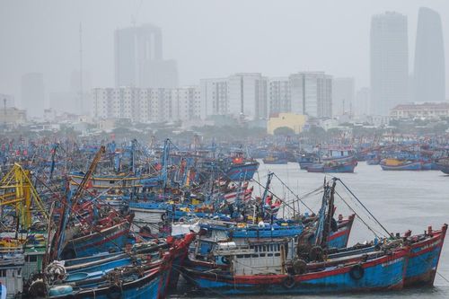 Tàu thuyền gấp rút quay về bờ tránh bão