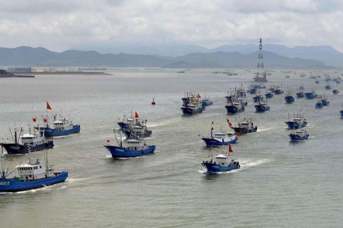 Đội tàu Trung Quốc đánh bắt hàng nghìn tấn hải sản ngoài khơi Ecuador