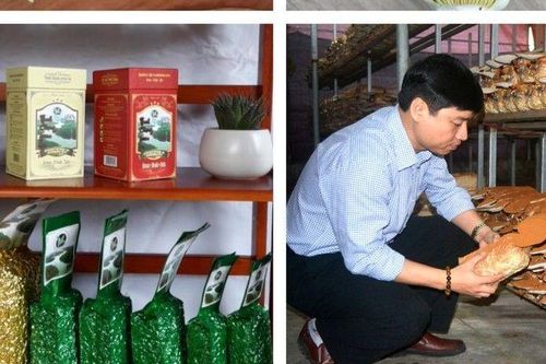 Nghệ An tìm động lực mới phát triển nông nghiệp ứng dụng công nghệ cao