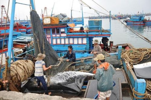 Quảng Nam: Học sinh nghỉ học, ngư dân về bờ tránh bão số 5