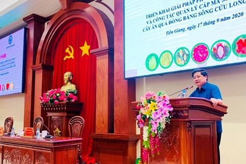 Không để hạn mặn ảnh hưởng sâu rộng hơn