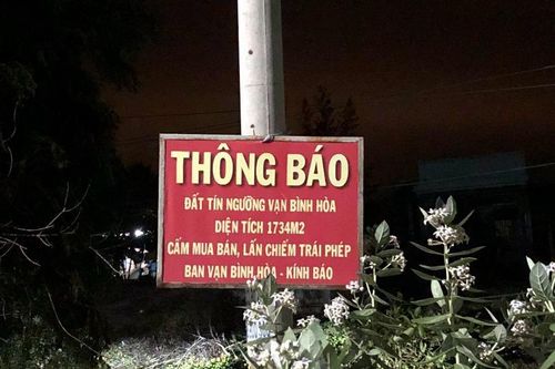 Bình Thuận: Tin 'cò' mà mua phải đất công cộng do nhà nước quản lý