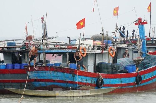 Tàu thuyền ở Huế đã về bờ trú bão an toàn trước 14h chiều nay